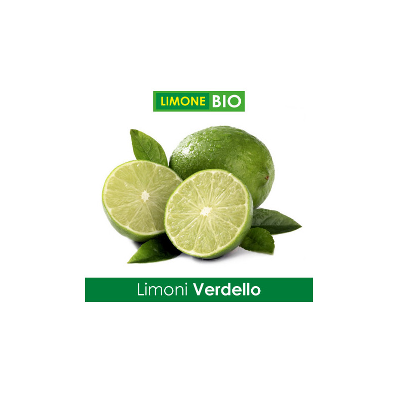 Limoni Bio VERDELLO - Confezione 1 Kg