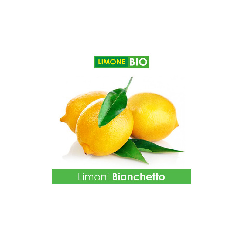 Limoni Bio BIANCHETTO - Confezione da  1 Kg